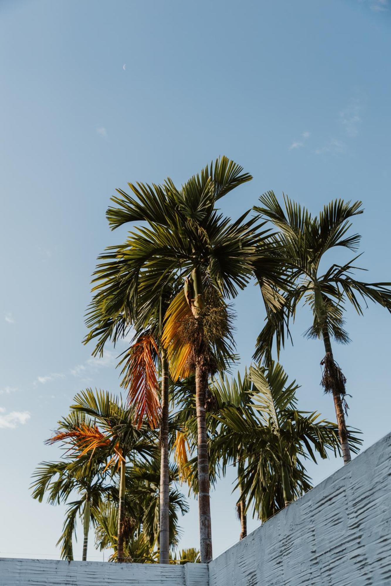 Arun Dara Villa Chiang Mai Dış mekan fotoğraf